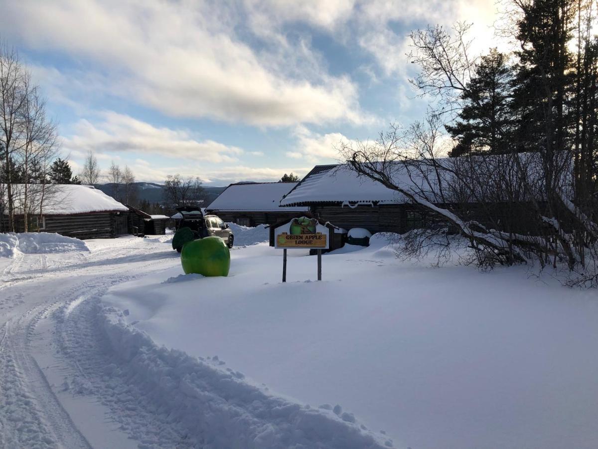 Beautiful 4-5 Persons Cottage In Alvdalen Blyberg Luaran gambar